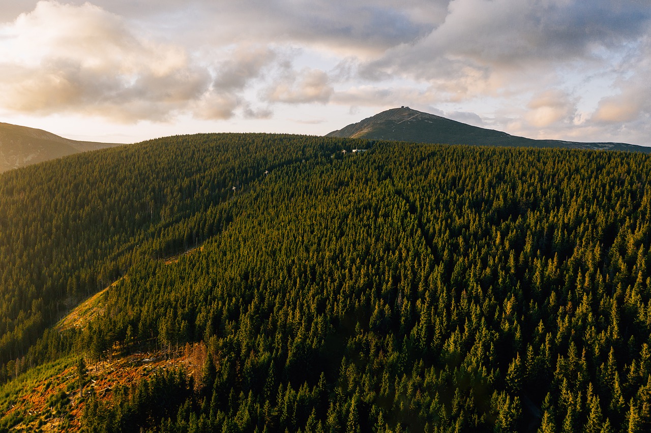 Wycieczka w Karkonosze